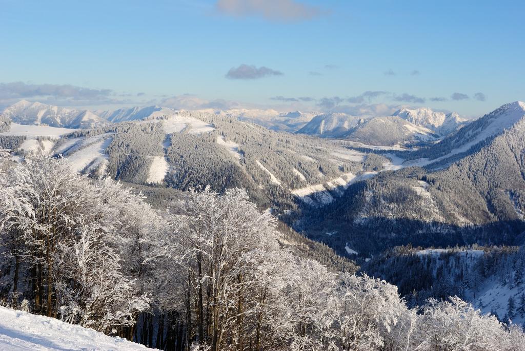 Pension Wald Файстенау Экстерьер фото
